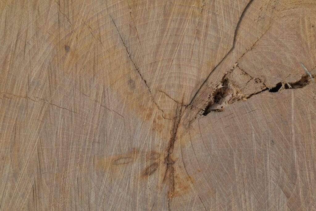 Comparison Of Oak, Walnut, And Maple Grain Patterns