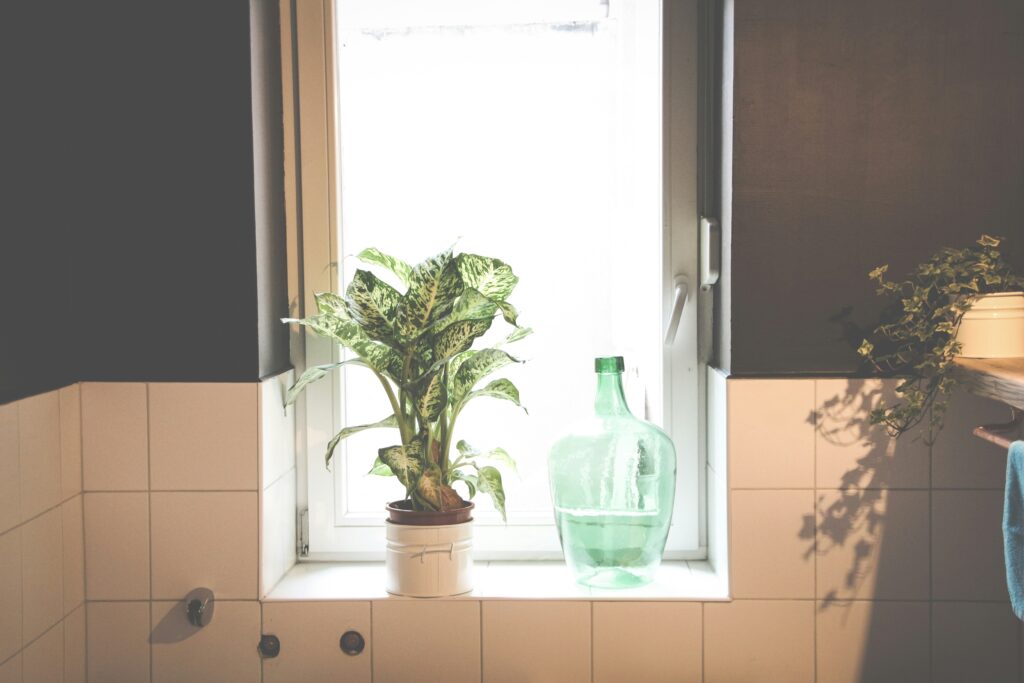 Condensation on a window in a bathroom indicating moisture presence
