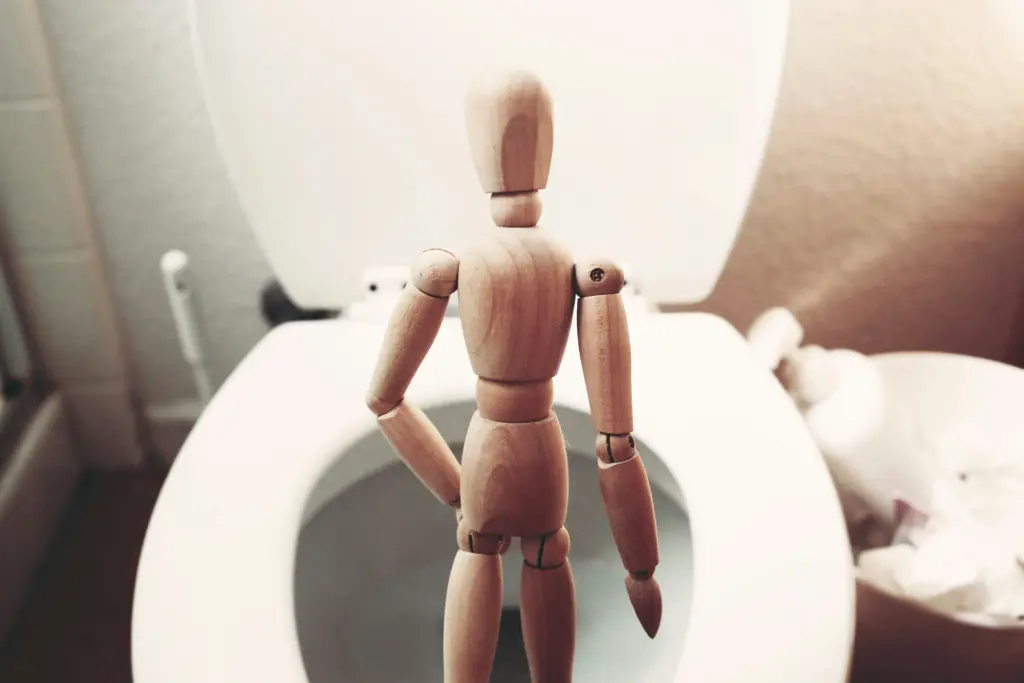 How A Toilet Works Diagram